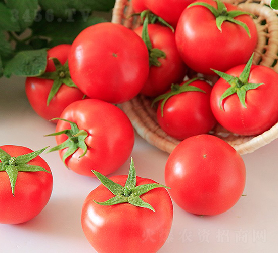 ����707-���ѷN��-���շN��