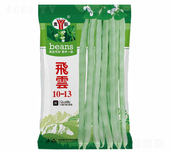 飛雲(yún)10-13-諾易達(dá)