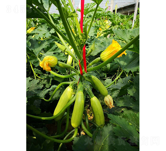 Խ���G��320-�����J�N��-����