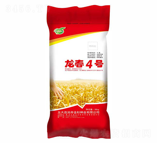 龍春4號(hào)-金杉種業(yè)