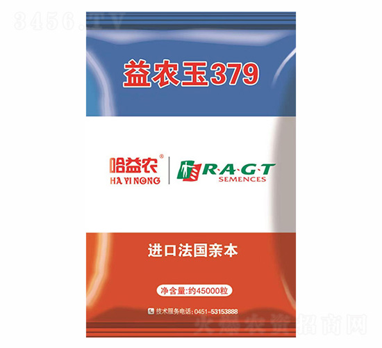 益農玉379-金杉種業(yè)