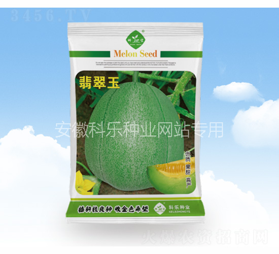 �����-�Ƙ��N�I(y��)