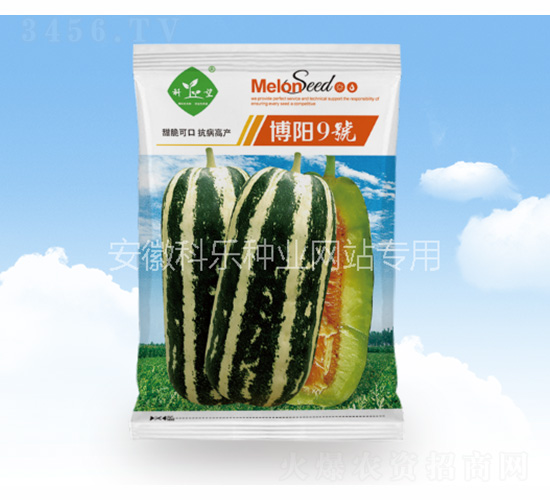 ���9̖(h��o)-�Ƙ��N�I(y��)