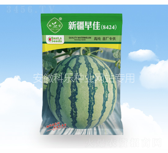 �½����8424-�Ƙ��N�I(y��)