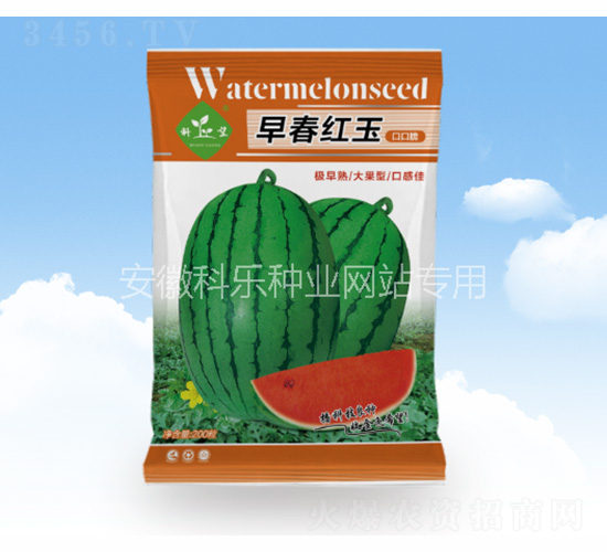 �紺�t��ڿڴ�-�Ƙ��N�I(y��)