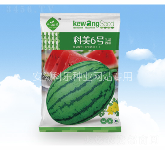 ����6̖(h��o)-�Ƙ�(l��)�N�I(y��)