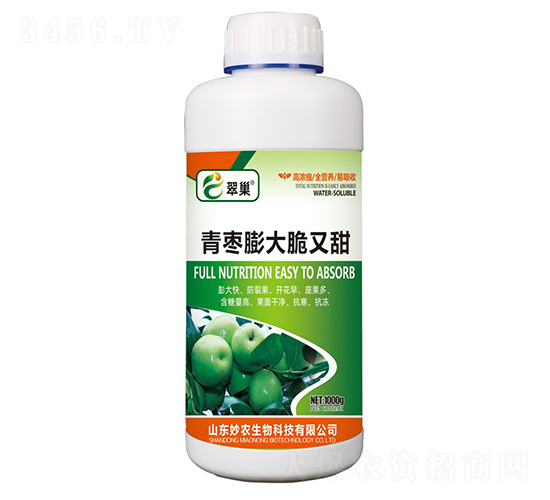 青棗膨大脆又甜-翠巢-妙農(nóng)生物