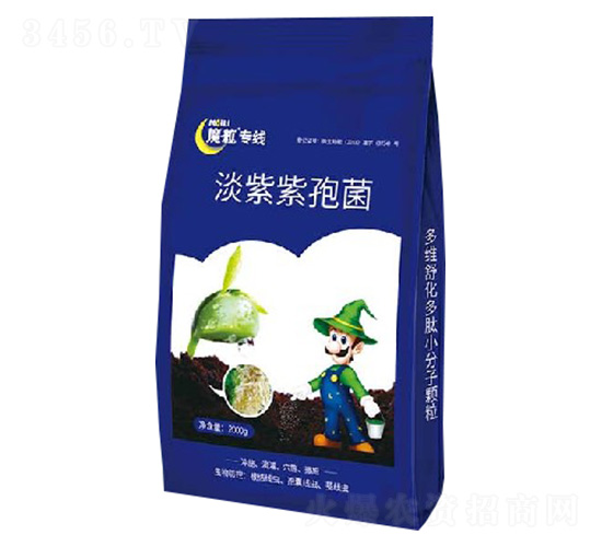 淡紫紫孢菌-魔粒專(zhuān)線(xiàn)-魔粒生物