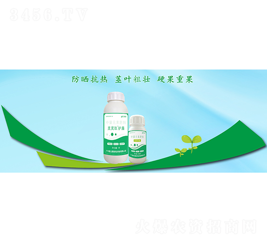 �`�`�����o������Ԫ�ط���-��������