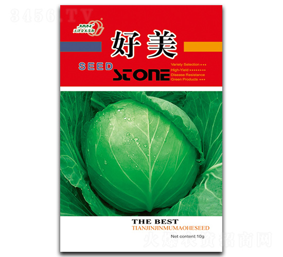 ����-���{�N��-��ľï��