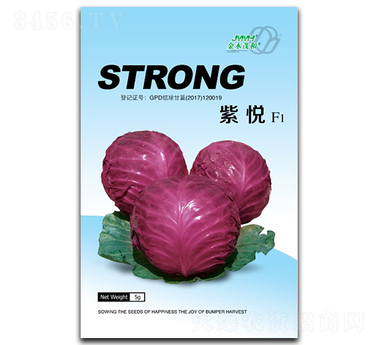 �ϐ�-���{(l��n)�N��-��ľï��