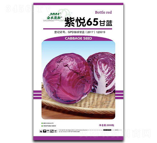 �ϐ�65���ψ���-���{(l��n)�N��-��ľï��