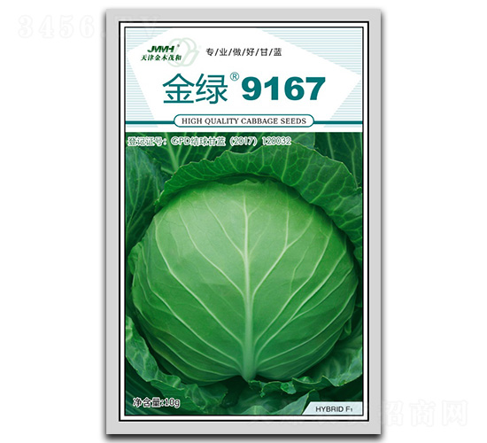 ��G9167-���{(l��n)�N��-��ľï��