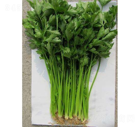 ������һ̖-�۲˷N��-�r(n��ng)�ƷN��