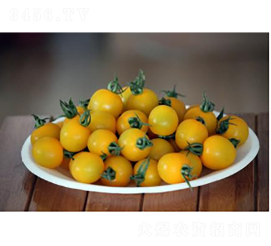 ����3321-���ѷN��-�r(n��ng)�ƷN��