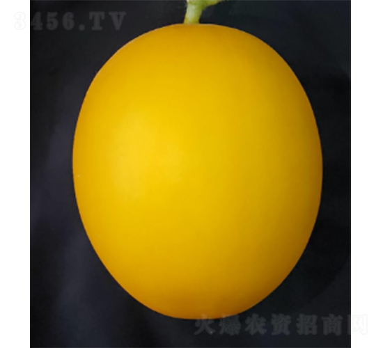 ������3̖(h��o)-���ϷN��-�r(n��ng)�ƷN��