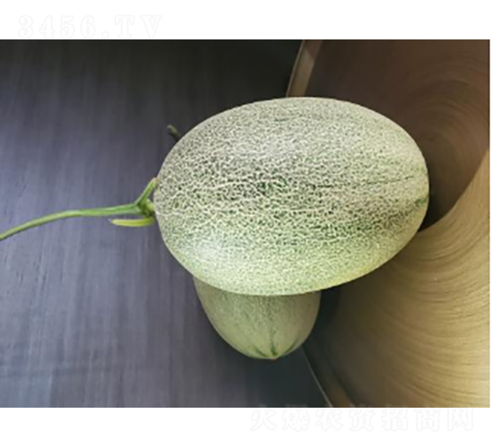 ������122-��ϷN��-�r(n��ng)�ƷN��