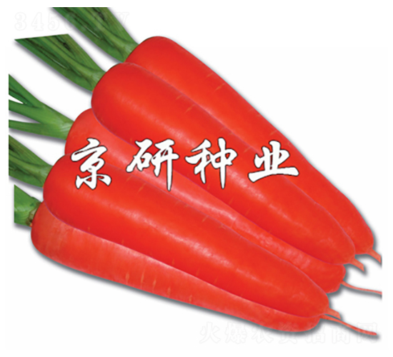 �tо105-���}���N��-���зN�I(y��)