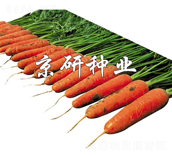 �A�u218-���}���N��-���зN�I(y��)