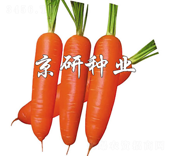 �A�u(y��)228-���}���N��-���зN�I(y��)