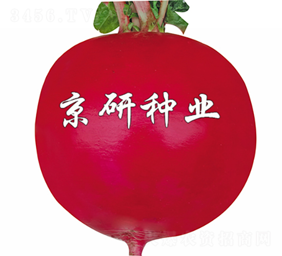 ���t5̖-�}���N��-���зN�I(y��)