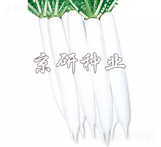 �������-�}���N��-���зN�I(y��)