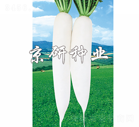 ����1̖(h��o)-�}���N��-���зN�I(y��)