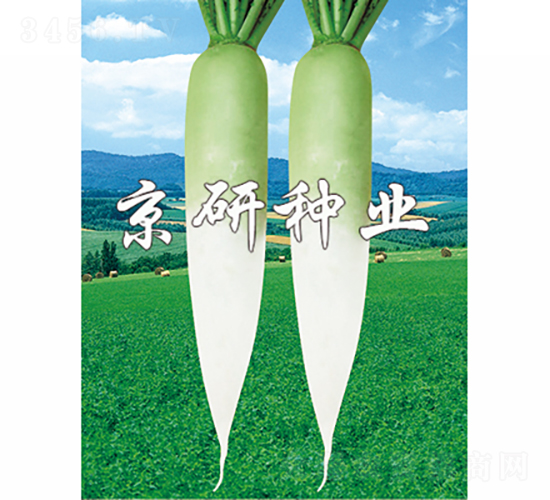 ����2̖(h��o)-�}���N��-���зN�I(y��)