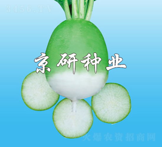 ����1̖-�}���N��-���зN�I(y��)