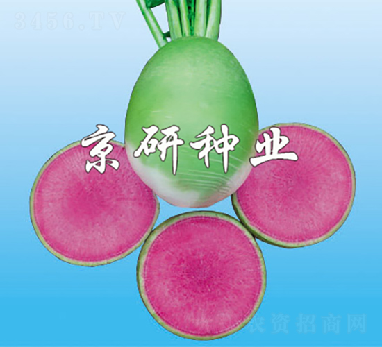 ����2̖(h��o)���������(l��i)�ͣ�-�}���N��-���зN�I(y��)