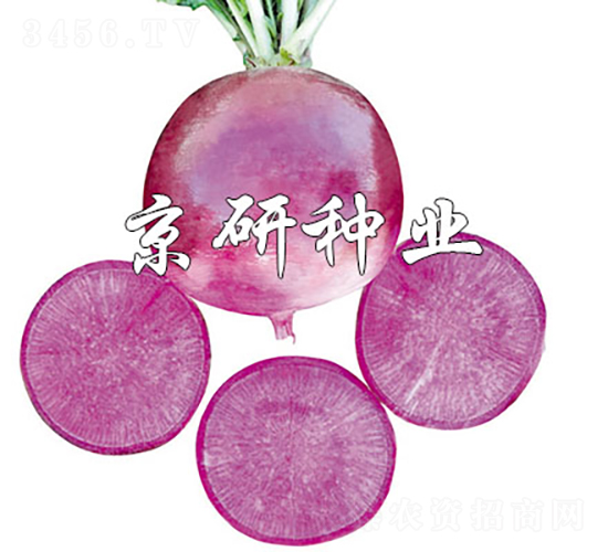 �����ϵ�-�}���N��-���зN�I(y��)