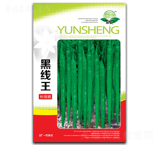 �ھ���-�����N��-��ʢ