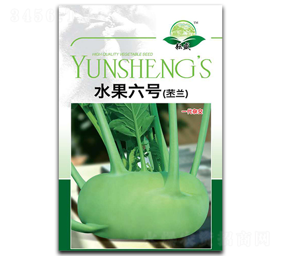 水果六號（苤蘭）-甘藍種子-耘盛