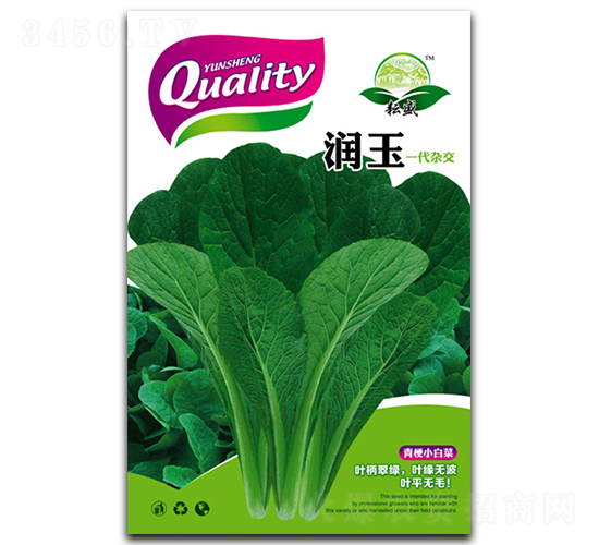 ����-�ײ˷N��-��ʢ