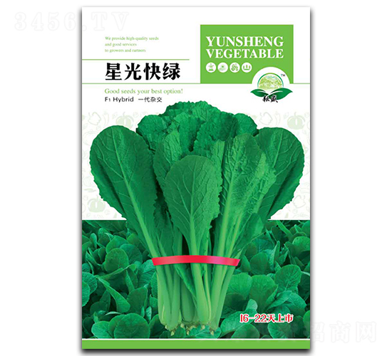 星光快綠-白菜種子-耘盛