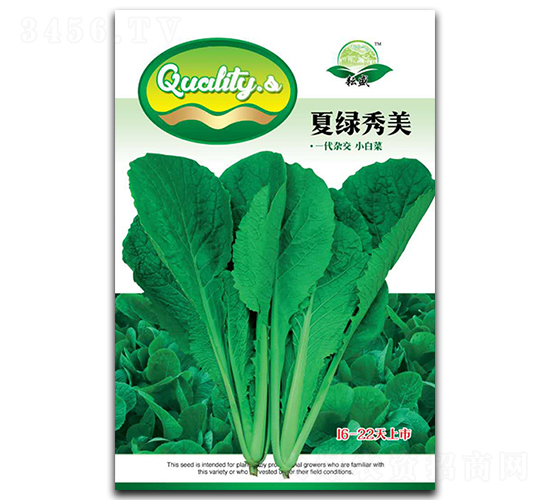 夏綠秀美-白菜種子-耘盛