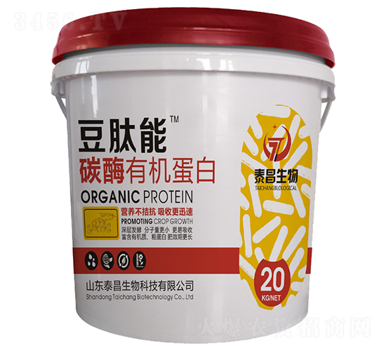 ̼ø�ЙC����-������-��̩����