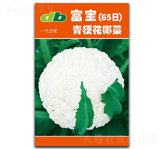 富寶65天-花椰菜種子-比爾