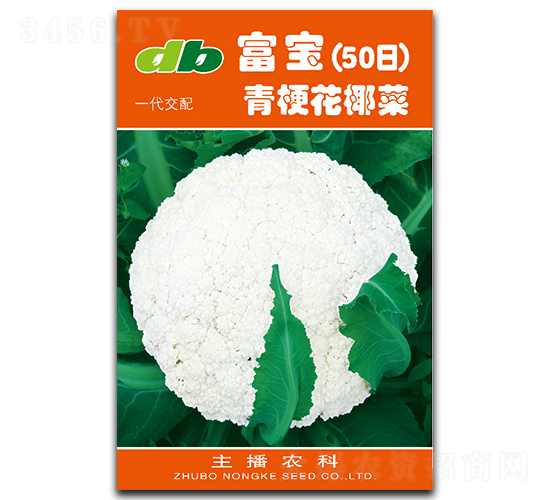 ����50��-��Ҭ�˷N��-�Ƞ�