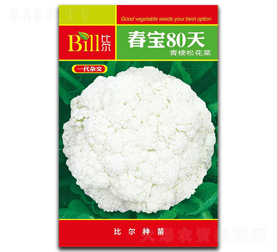 春寶80天-花椰菜種子-比爾