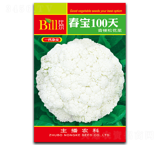 ����100��-��Ҭ�˷N��-�Ƞ�