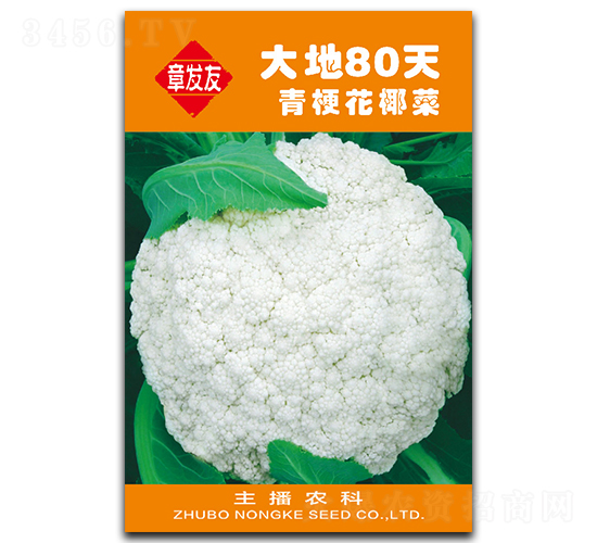 ���80��-��Ҭ�˷N��-�Ƞ�