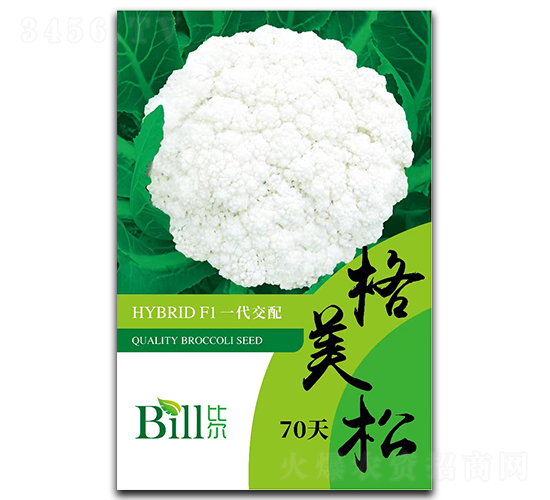 ������70��-��Ҭ�˷N��-�Ƞ�