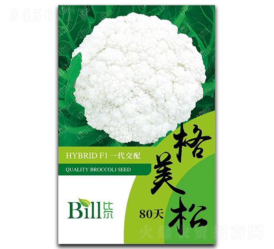 ������80��-��Ҭ�˷N��-�Ƞ�