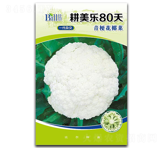 ������80��-��Ҭ�˷N��-�Ƞ�