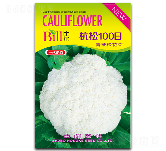 ����100��-��Ҭ�˷N��-�Ƞ�