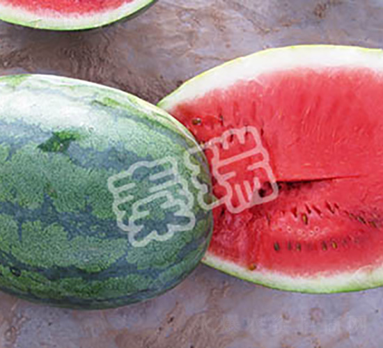 �������L(f��ng)-���ϷN��-����