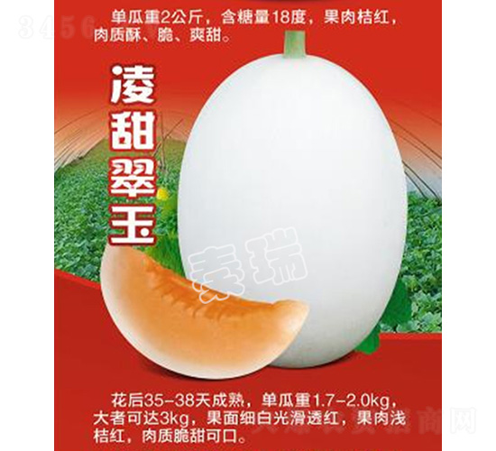 �������-��ϷN��-����