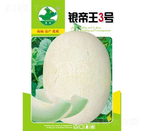 �y����3̖-��ϷN��-����