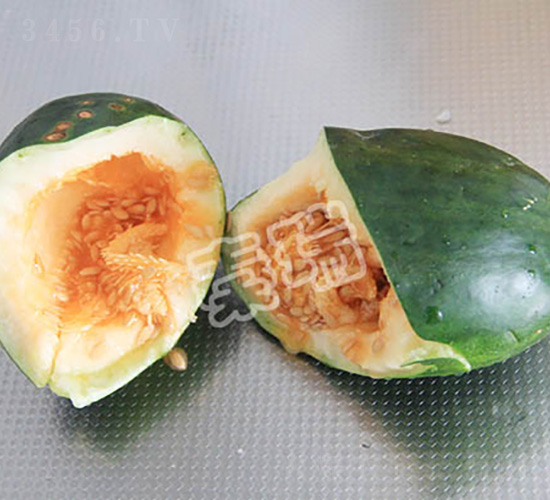 脆寶-甜瓜種子-秦瑞